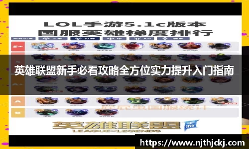 Vsport体育平台